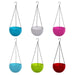 A single round plastic hanging flower pot with a plant inside, ready for display.
