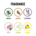 Long-lasting floral air freshener block providing continuous freshness in bathrooms.