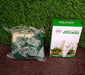 Overview of the 30-piece set of versatile wall plant clips for plant and cable management.