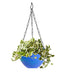 Stylish hanging flower pot with rattan-like texture, enhancing home decor.
